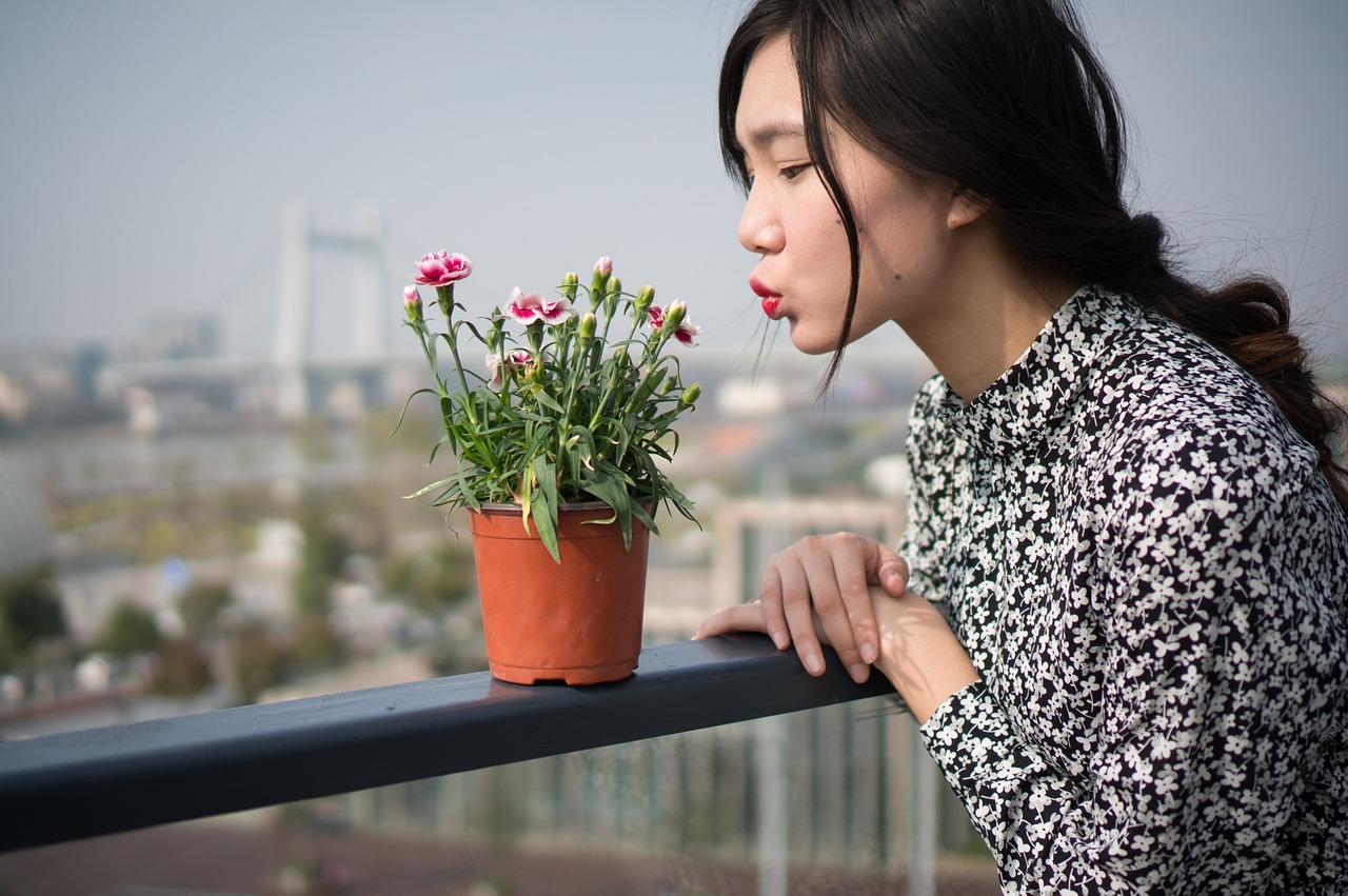 沒(méi)有女人的國(guó)家，在線觀看后的深度思考